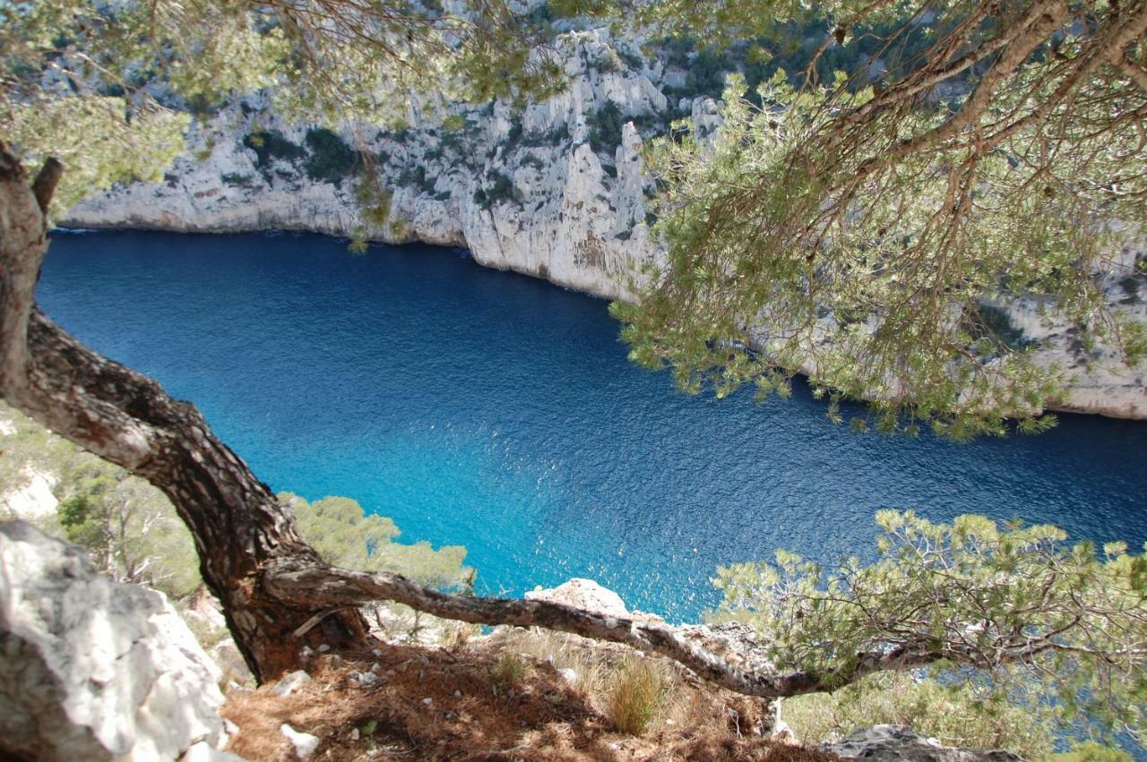 Azur Cassis Apartment Екстериор снимка